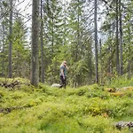 Break Sokos Tahkovuori