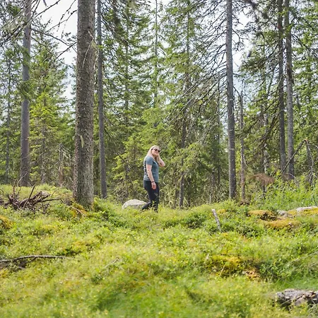 Break Sokos Tahkovuori