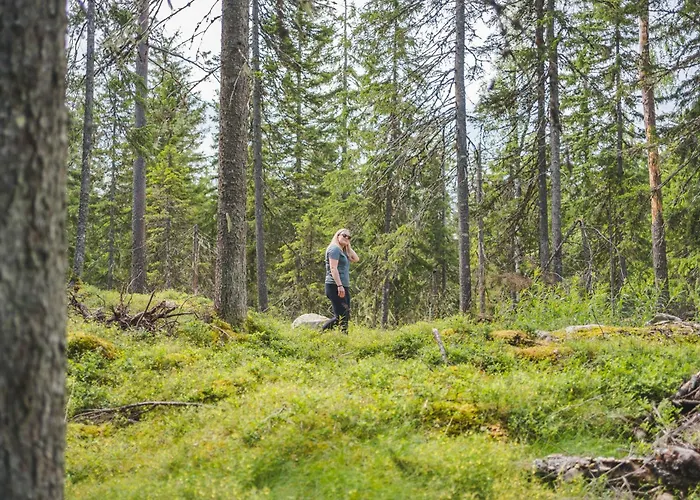 Break Sokos Tahkovuori